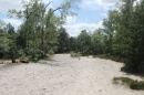 forêt des 3 Pignons, chemin de la Charme